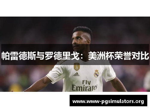 帕雷德斯与罗德里戈:美洲杯荣誉对比 帕雷德斯与罗德里戈:美洲杯荣誉对比