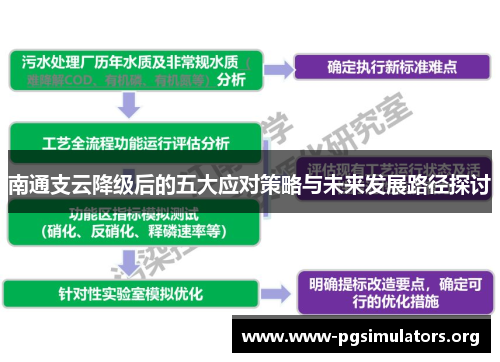 南通支云降级后的五大应对策略与未来发展路径探讨