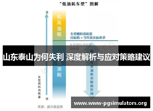 山东泰山为何失利 深度解析与应对策略建议