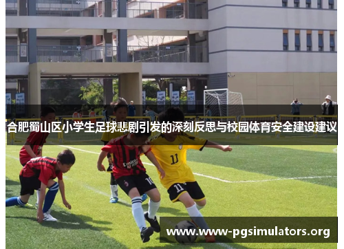 合肥蜀山区小学生足球悲剧引发的深刻反思与校园体育安全建设建议 合肥蜀山区小学生足球悲剧引发的深刻反思与校园体育安全建设建议