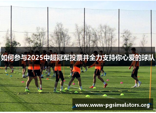 如何参与2025中超冠军投票并全力支持你心爱的球队 如何参与2025中超冠军投票并全力支持你心爱的球队