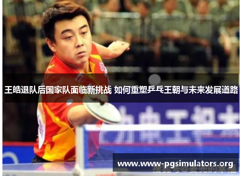 王皓退队后国家队面临新挑战 如何重塑乒乓王朝与未来发展道路 王皓退队后国家队面临新挑战 如何重塑乒乓王朝与未来发展道路