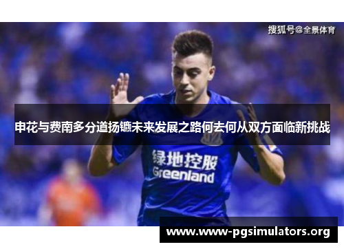 申花与费南多分道扬镳未来发展之路何去何从双方面临新挑战 申花与费南多分道扬镳未来发展之路何去何从双方面临新挑战