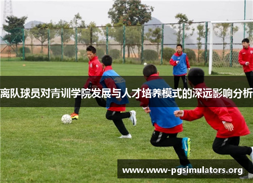 离队球员对青训学院发展与人才培养模式的深远影响分析