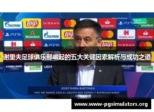 谢里夫足球俱乐部崛起的五大关键因素解析与成功之道 谢里夫足球俱乐部崛起的五大关键因素解析与成功之道