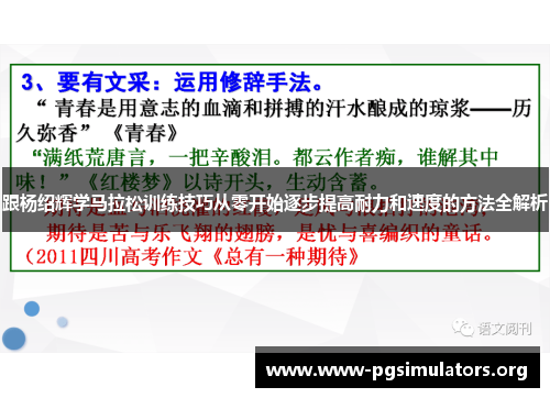 跟杨绍辉学马拉松训练技巧从零开始逐步提高耐力和速度的方法全解析